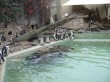 Zoo 2011 (262)